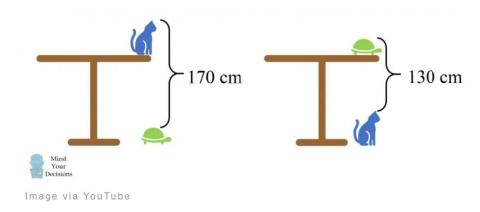 How tall is the table?