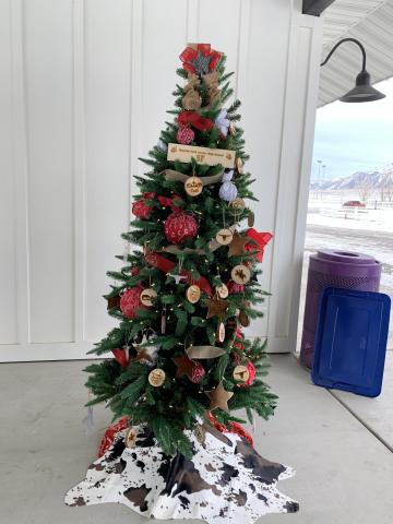 Christmas tree by itself